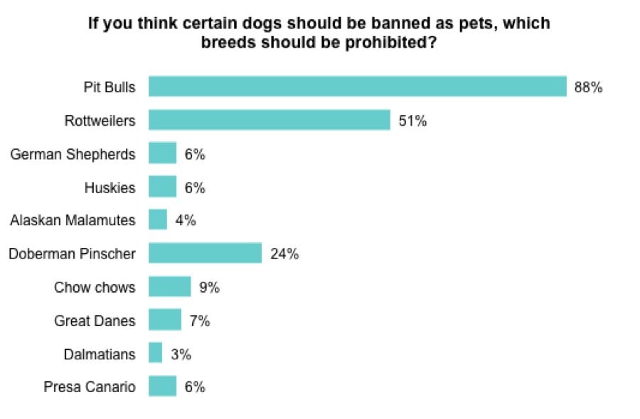 Why Pit Bulls Should Be Banned Essay