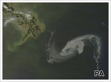 The oil slick from above